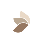 Beige Neutral Elegant Morning Instagram Post (12)